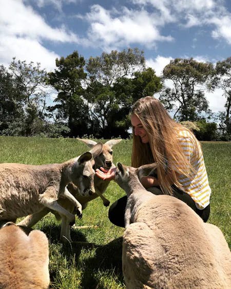 High School Australia - student with kangaroos