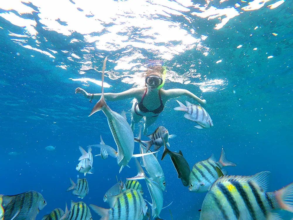 snorkeling in Mexico