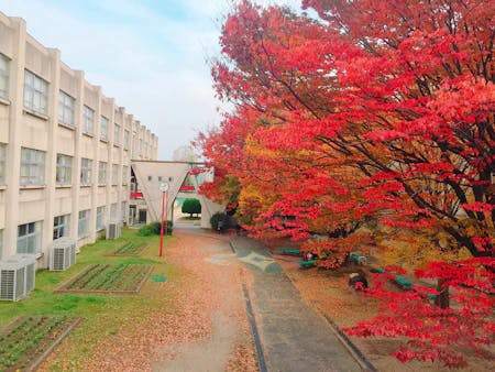 high school in Japan